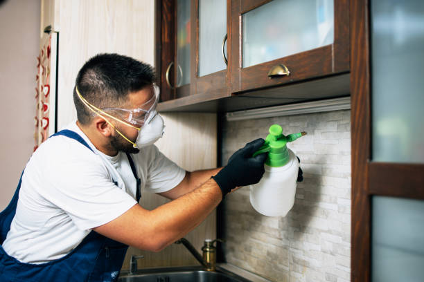 Best Affordable Pest Control Services  in Aledo, TX