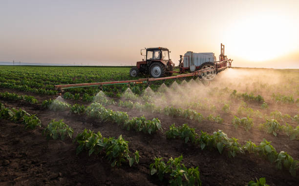 Best Commercial Pest Control Services  in Aledo, TX