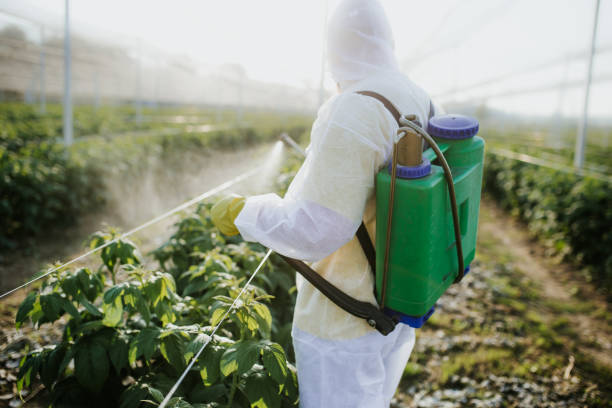 Wildlife Control Services in Aledo, TX